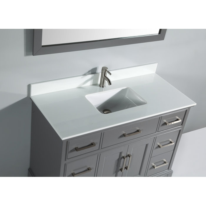 Red Barrel Studio® Valor 48'' Free Standing Single Bathroom Vanity with
